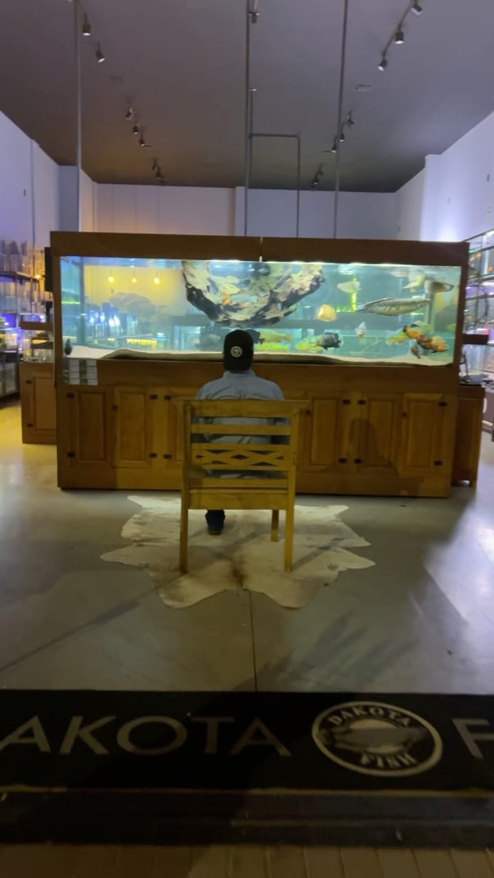Aquário jumbo da loja Dakota Fish, com móvel de madeira e tapete com o selo Dakota